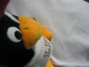 linux_penguin_tux_2005060402